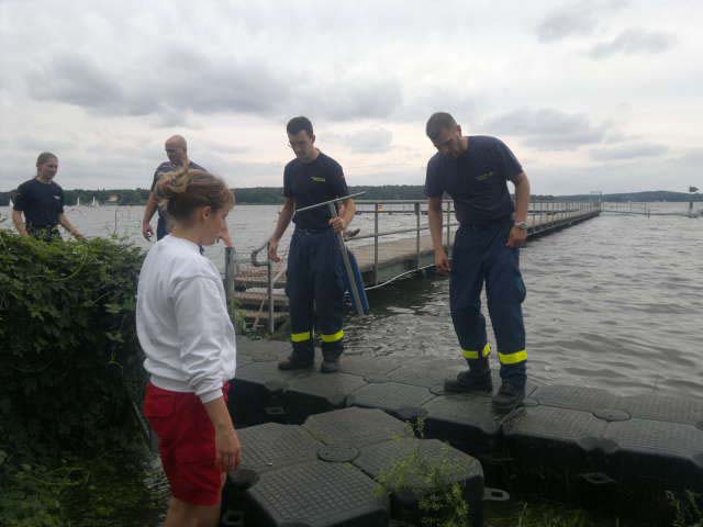 Hochwasser Unterhavel Mitarbeiterin der Wasserwacht hilft Arbeitern des Technischen Hilfswerks beim Bau eines Notstegs